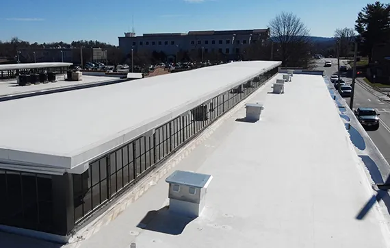 Why Choose Us in Roswell